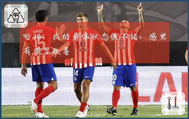 哈珀：我的身体状态很不错，感觉有明显改善